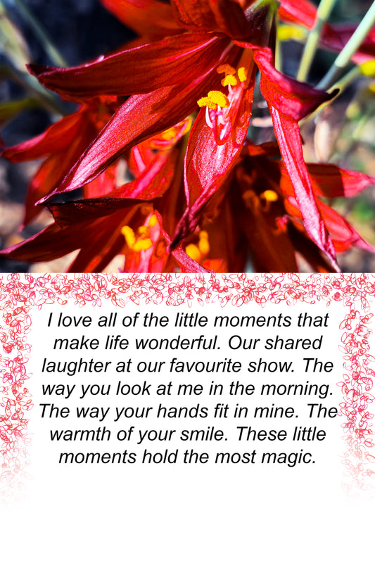 Little Moments message card. Jewelry holding message card. oxblood lilly