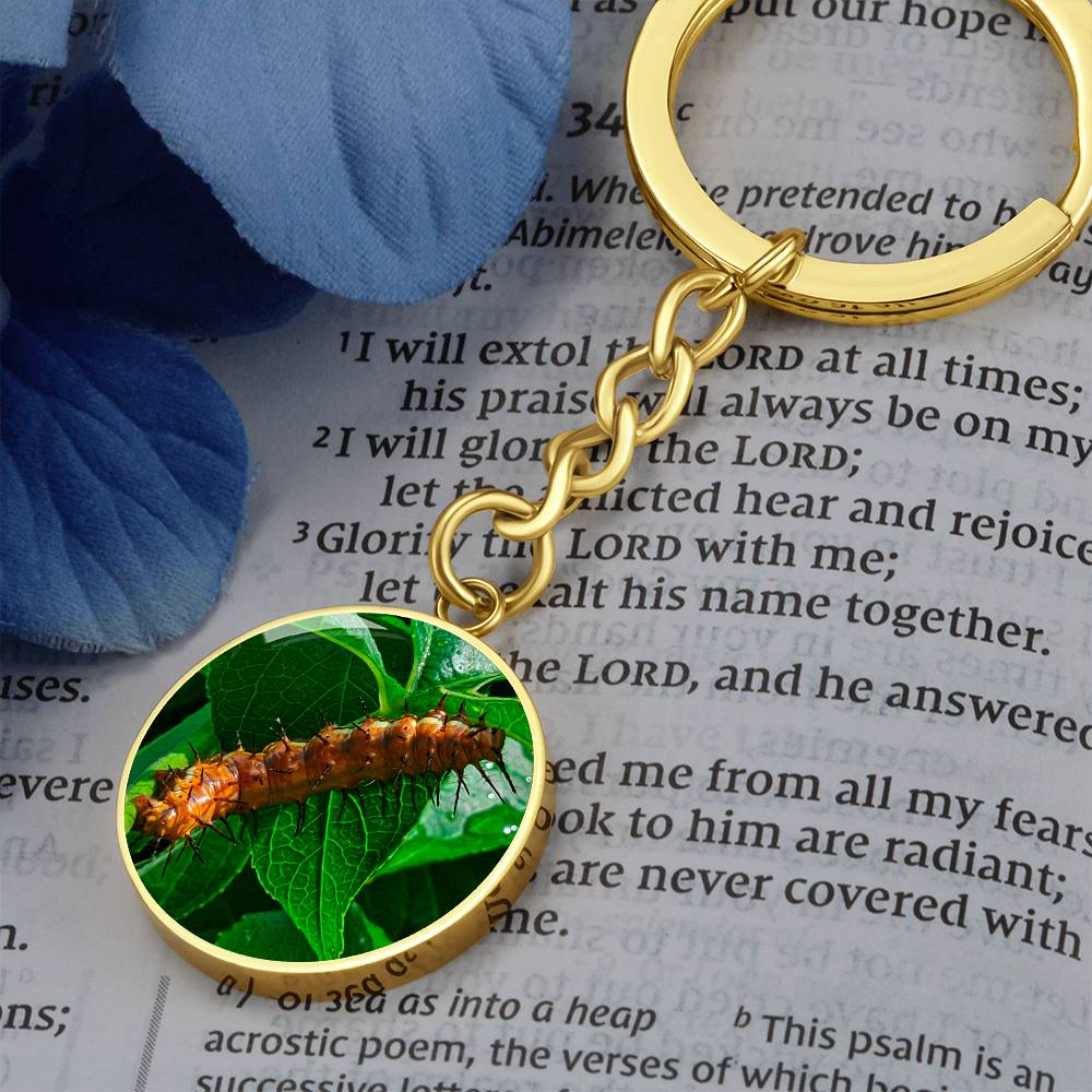 Passion Butterfly Caterpillar Luxury Keychain